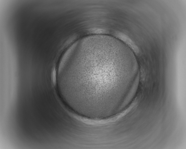 X0000101440014200807211222