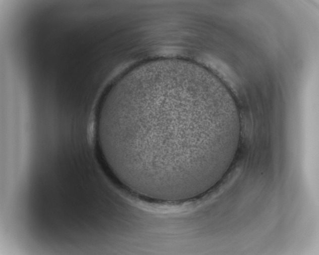 X0000101440016200807211222