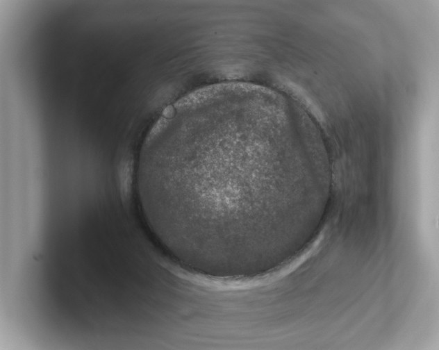 X0000101440018200807211222