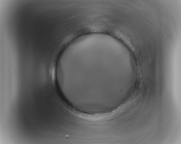 X0000101440019200807211222