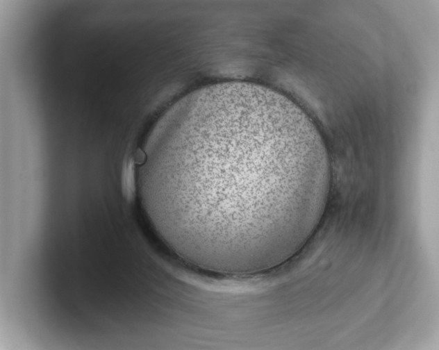 X0000101440020200807211222