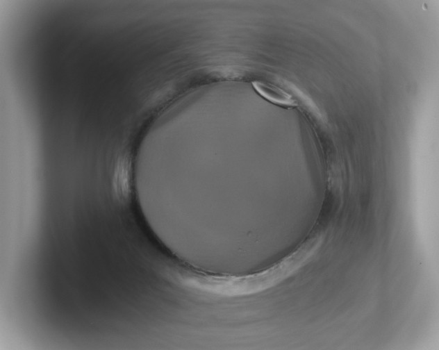 X0000101440023200807211222