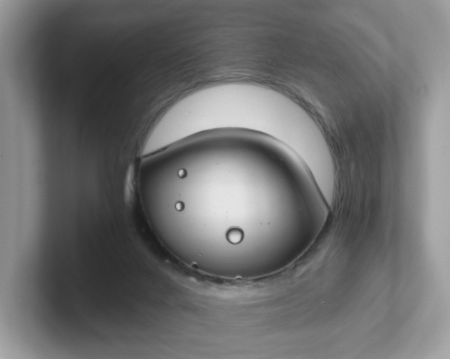 X0000101440024200807211222