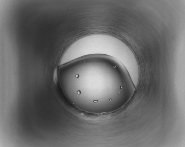 X0000101440028200807211222