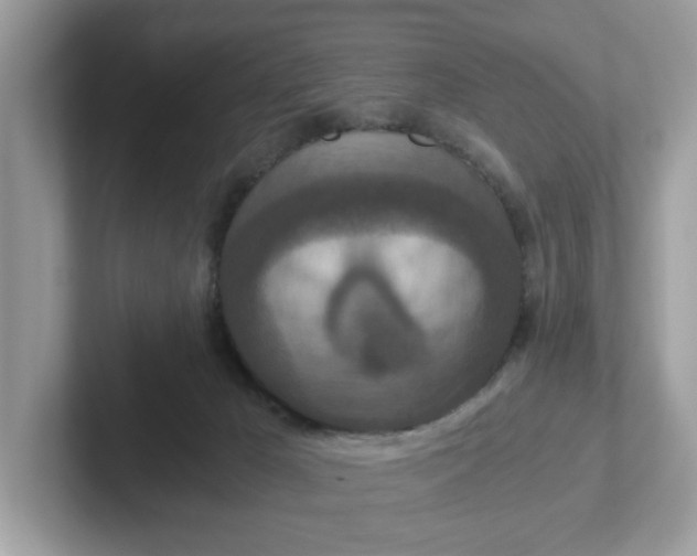 X0000101440029200807211222