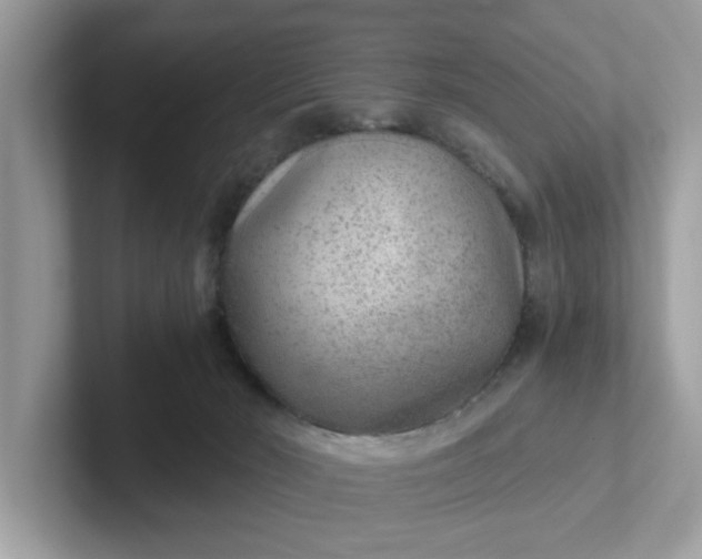 X0000101440030200807211222