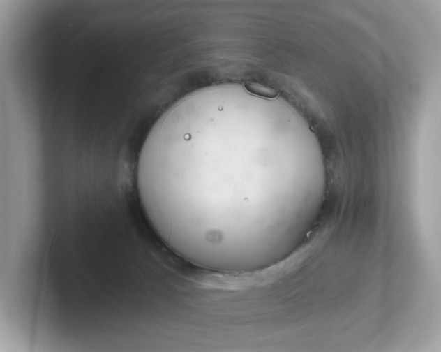 X0000101440033200807211222