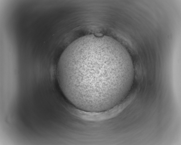 X0000101440034200807211222