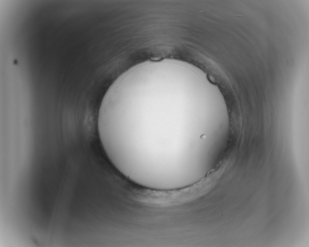 X0000101440037200807211222