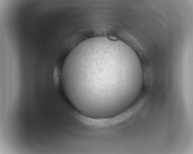 X0000101440038200807211222