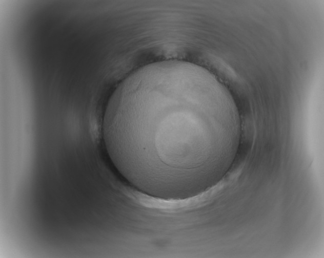 X0000101440039200807211222