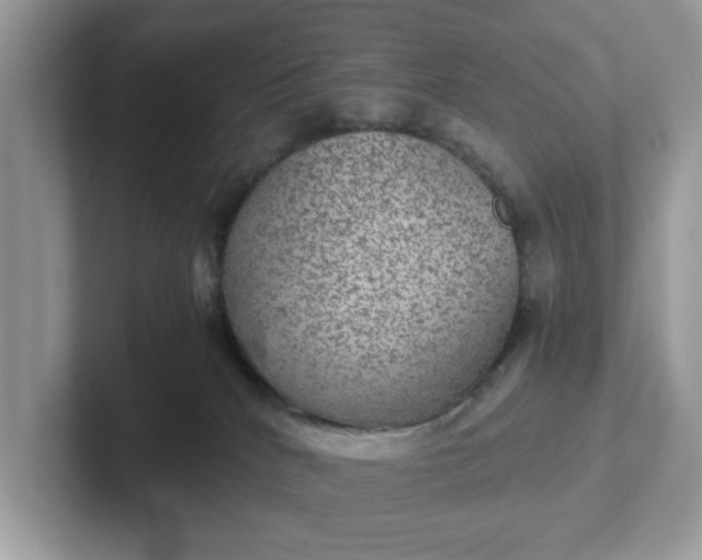 X0000101440040200807211222