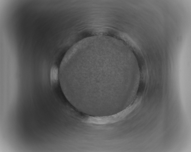 X0000101440041200807211222