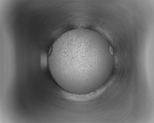 X0000101440042200807211222