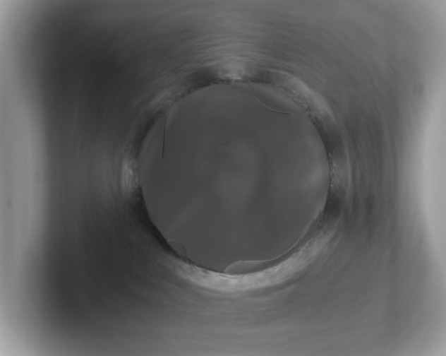 X0000101440043200807211222