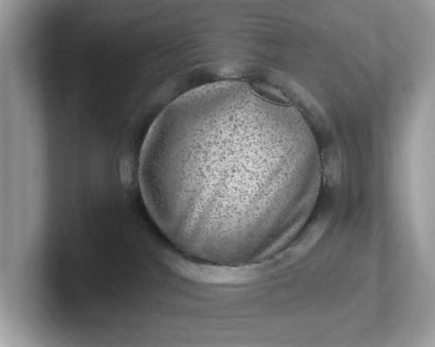 X0000101440044200807211222