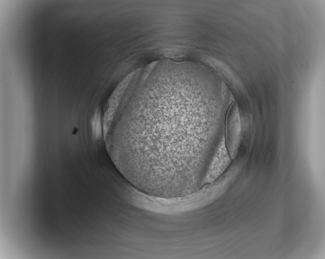 X0000101440046200807211222