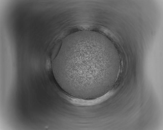 X0000101440048200807211222