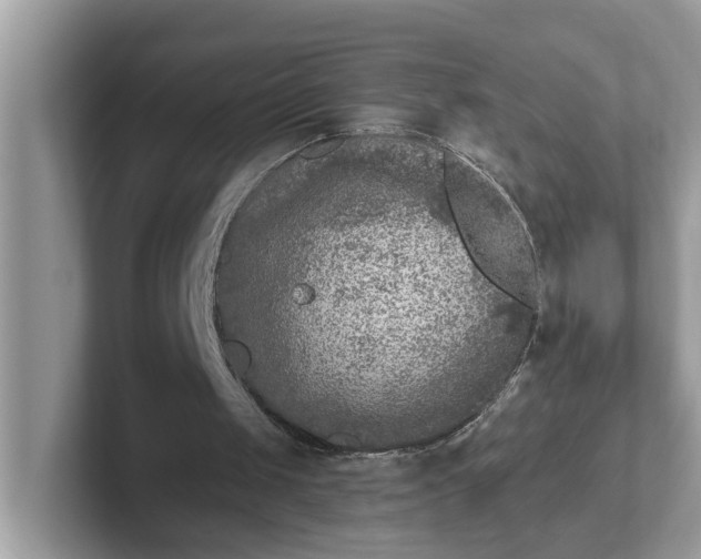 X0000101440049200807211221