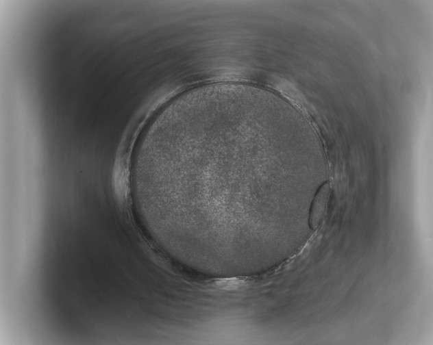 X0000101440050200807211221