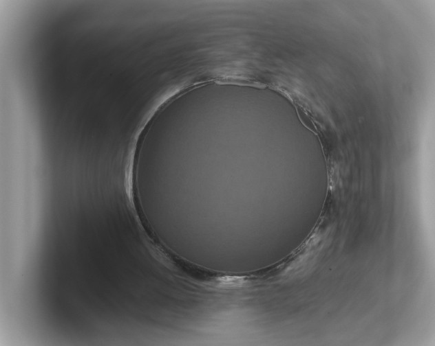 X0000101440052200807211221