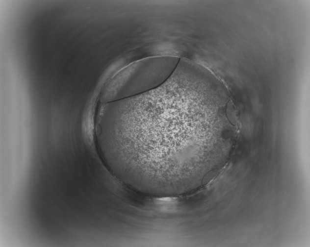 X0000101440053200807211221