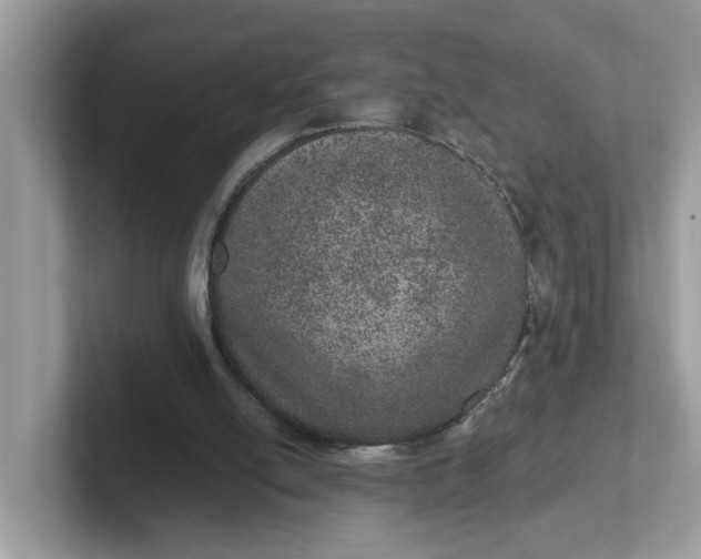 X0000101440054200807211221