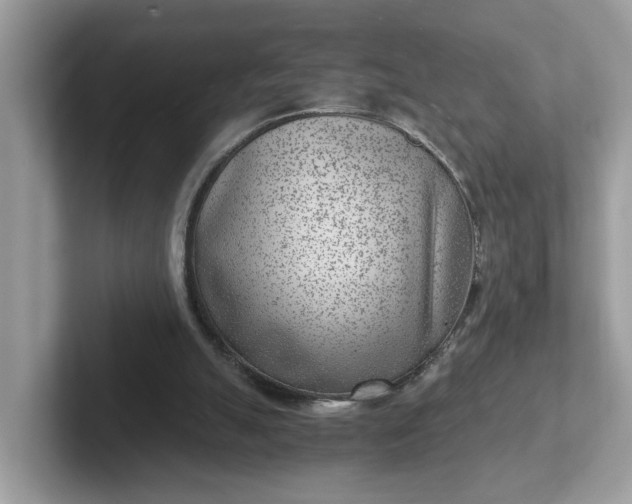 X0000101440055200807211221