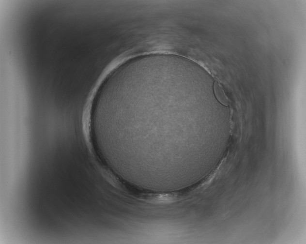 X0000101440056200807211221