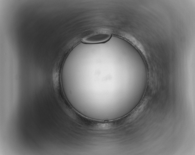 X0000101440057200807211221