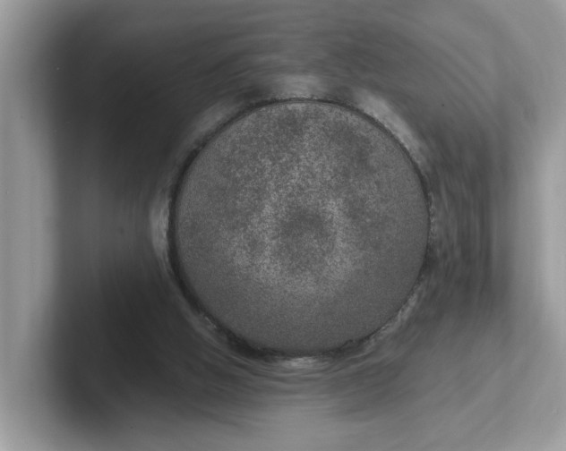 X0000101440058200807211221