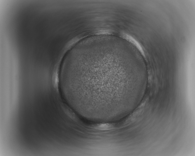 X0000101440059200807211221