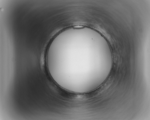 X0000101440060200807211221