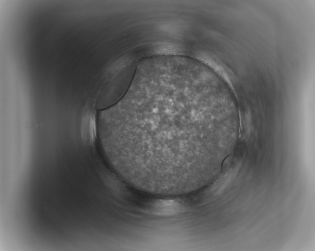 X0000101440061200807211221