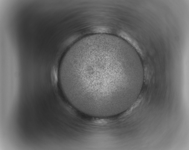 X0000101440062200807211221