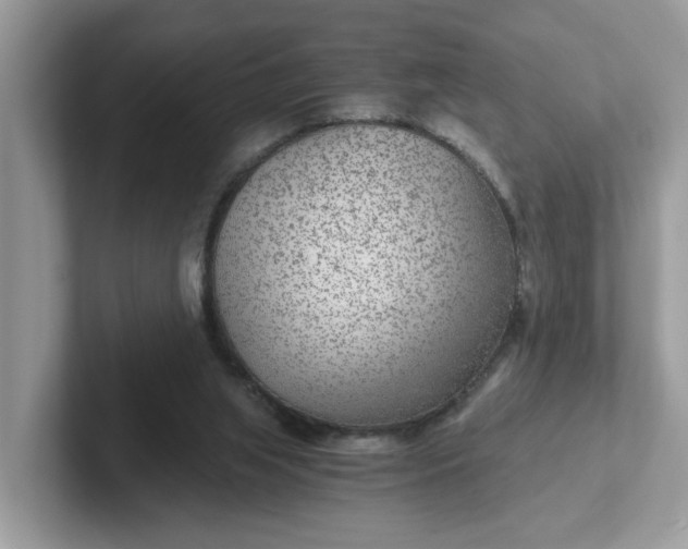 X0000101440063200807211221