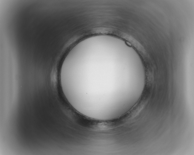 X0000101440064200807211221