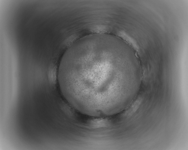 X0000101440065200807211221