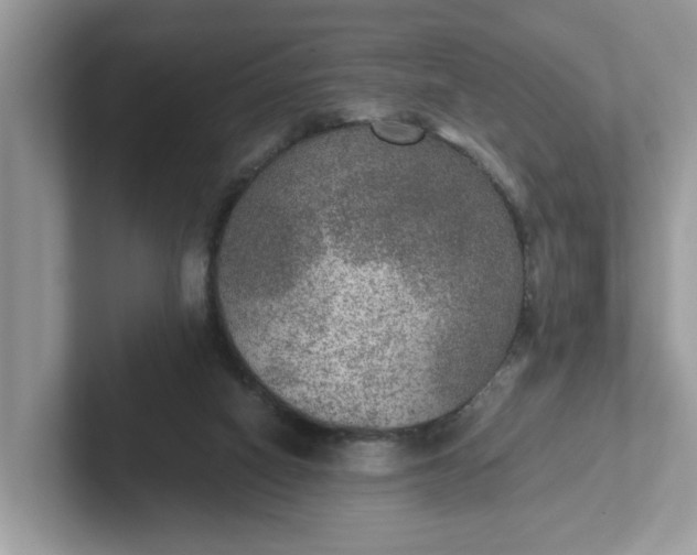 X0000101440066200807211221