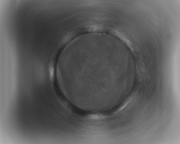 X0000101440067200807211221