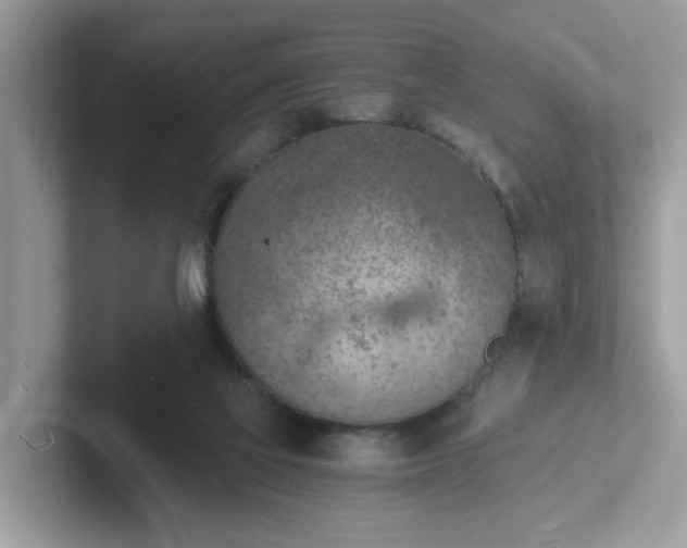 X0000101440069200807211221