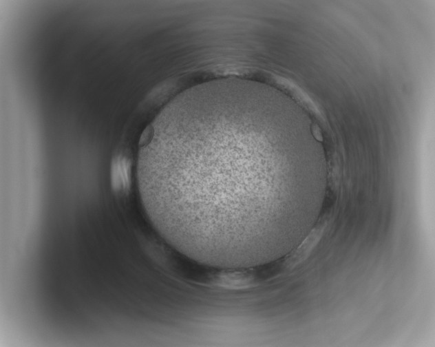 X0000101440070200807211221