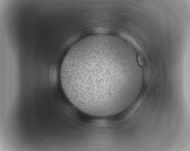 X0000101440071200807211221