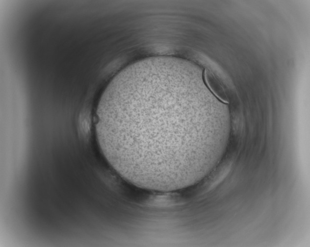 X0000101440072200807211221