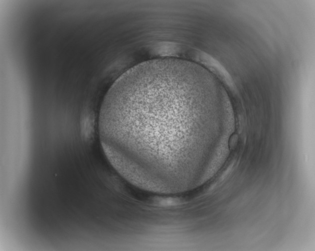 X0000101440073200807211221