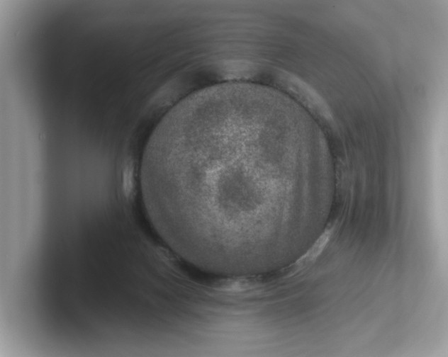 X0000101440074200807211221