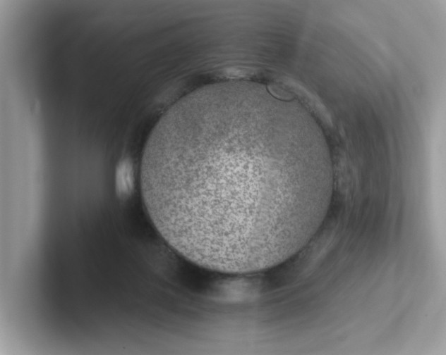 X0000101440075200807211221