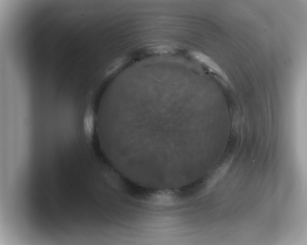 X0000101440076200807211221