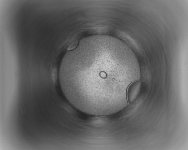 X0000101440077200807211221