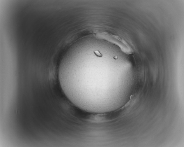 X0000101440078200807211221